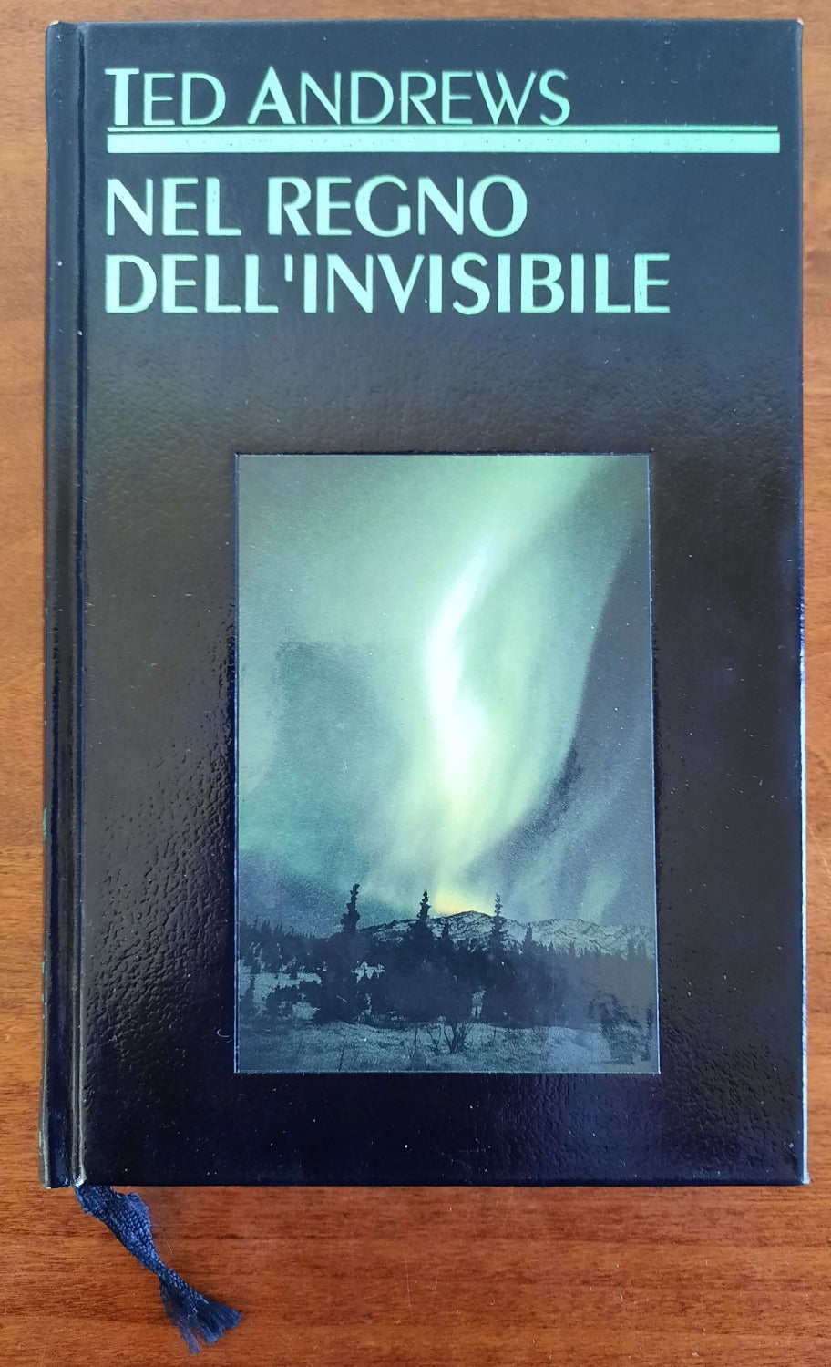 Nel regno dell’invisibile - Club Degli Editori - Libreria Biellese