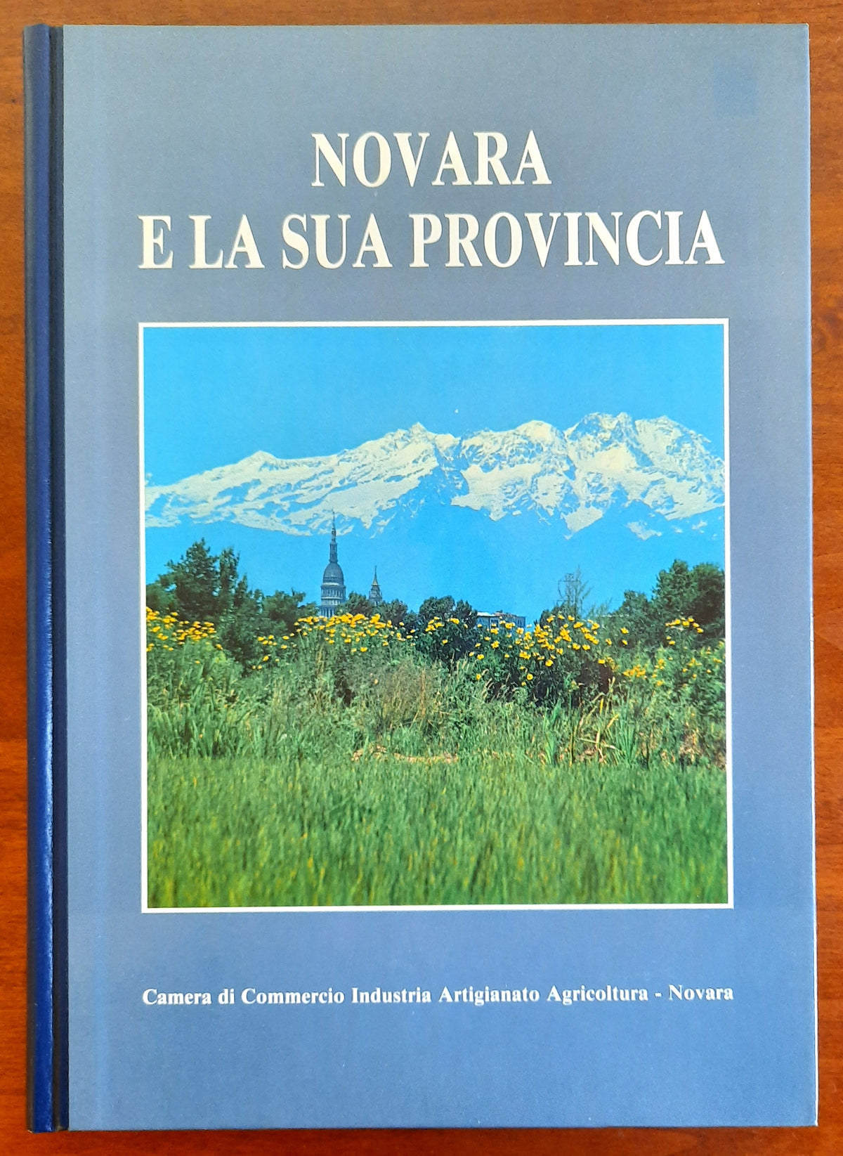 Novara e la sua provincia - Libreria Biellese