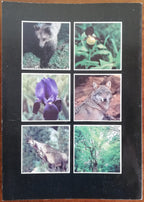 Parco Nazionale d’Abruzzo. Guida illustrata - Libreria Biellese