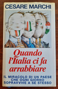 Quando l’Italia ci fa arrabbiare. Il miracolo di un paese che ogni giorno sopravvive a se stesso - Libreria Biellese