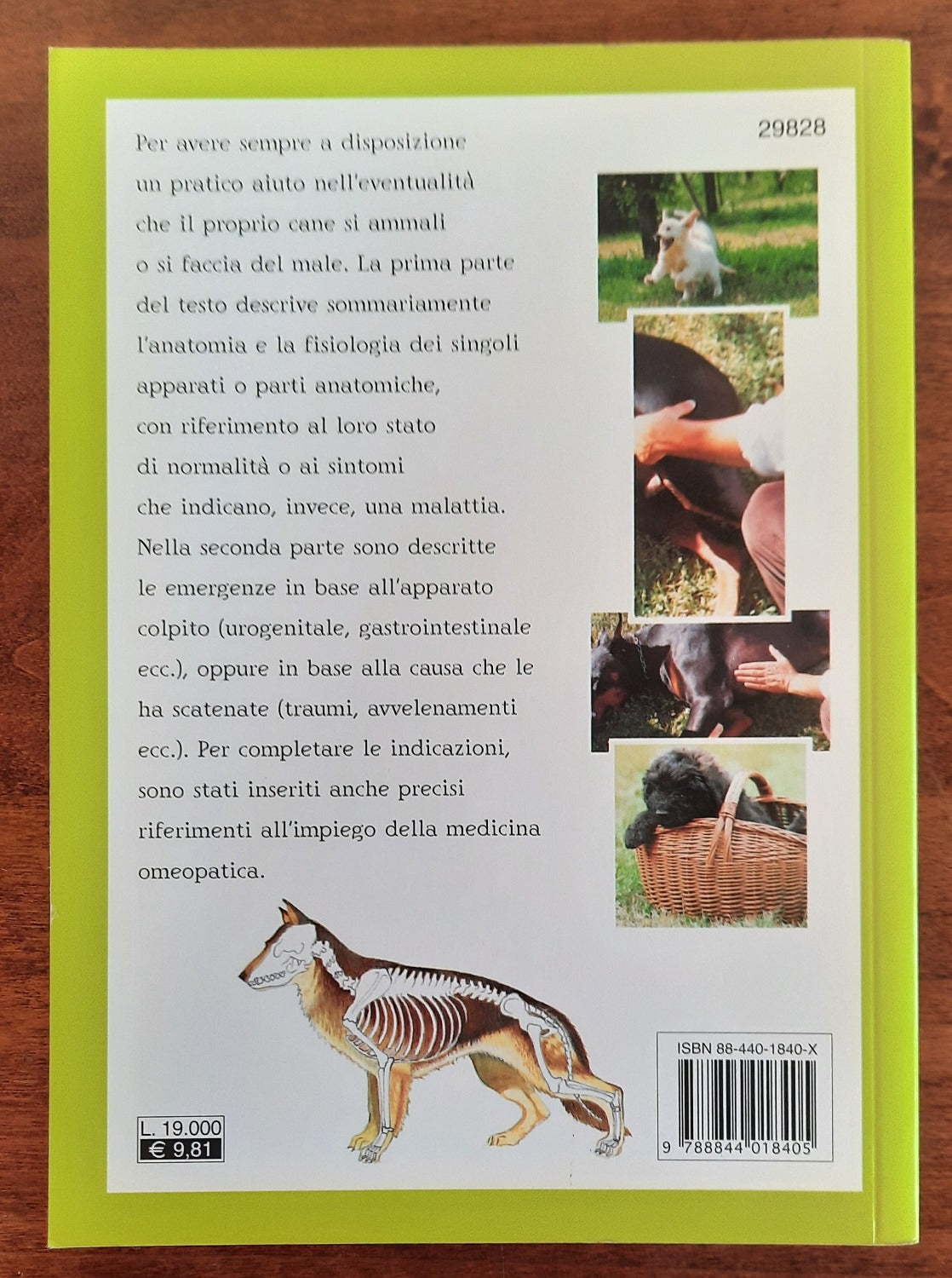 S.O.S. cane. Primo soccorso