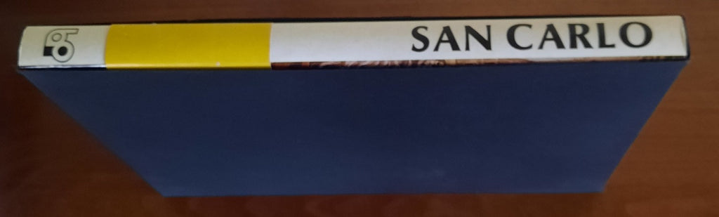 San Carlo. L’uomo e la sua epoca - Libreria Biellese