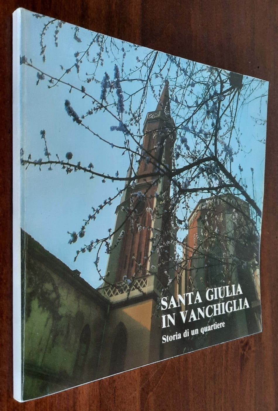 Santa Giulia in Vanchiglia. Storia di un quartiere - 1985
