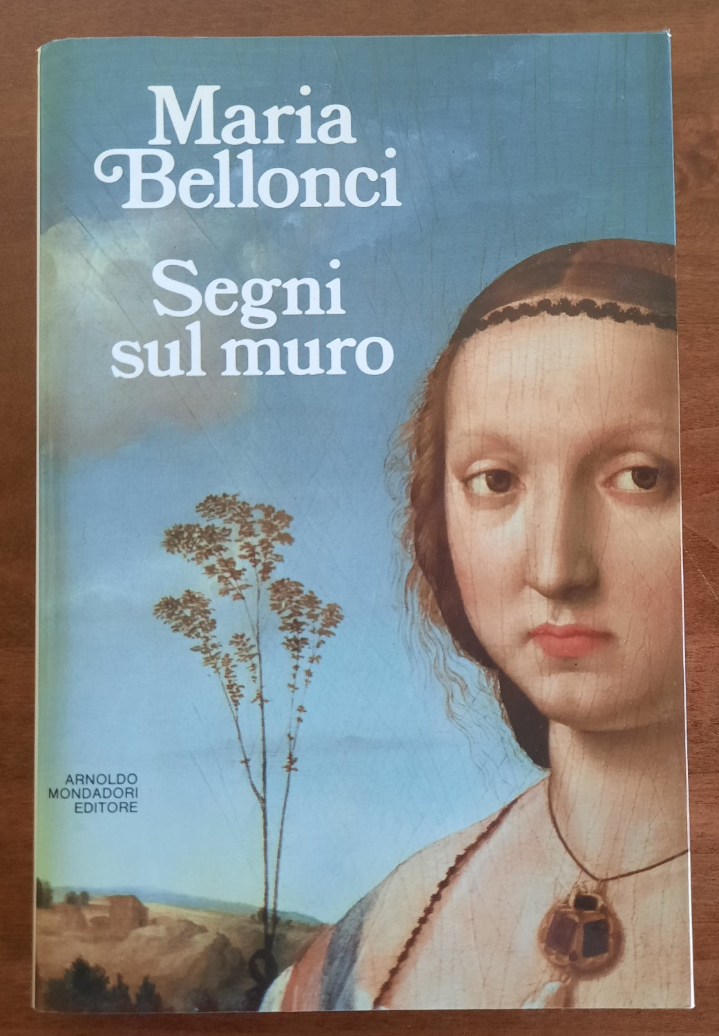 Segni sul muro - Libreria Biellese