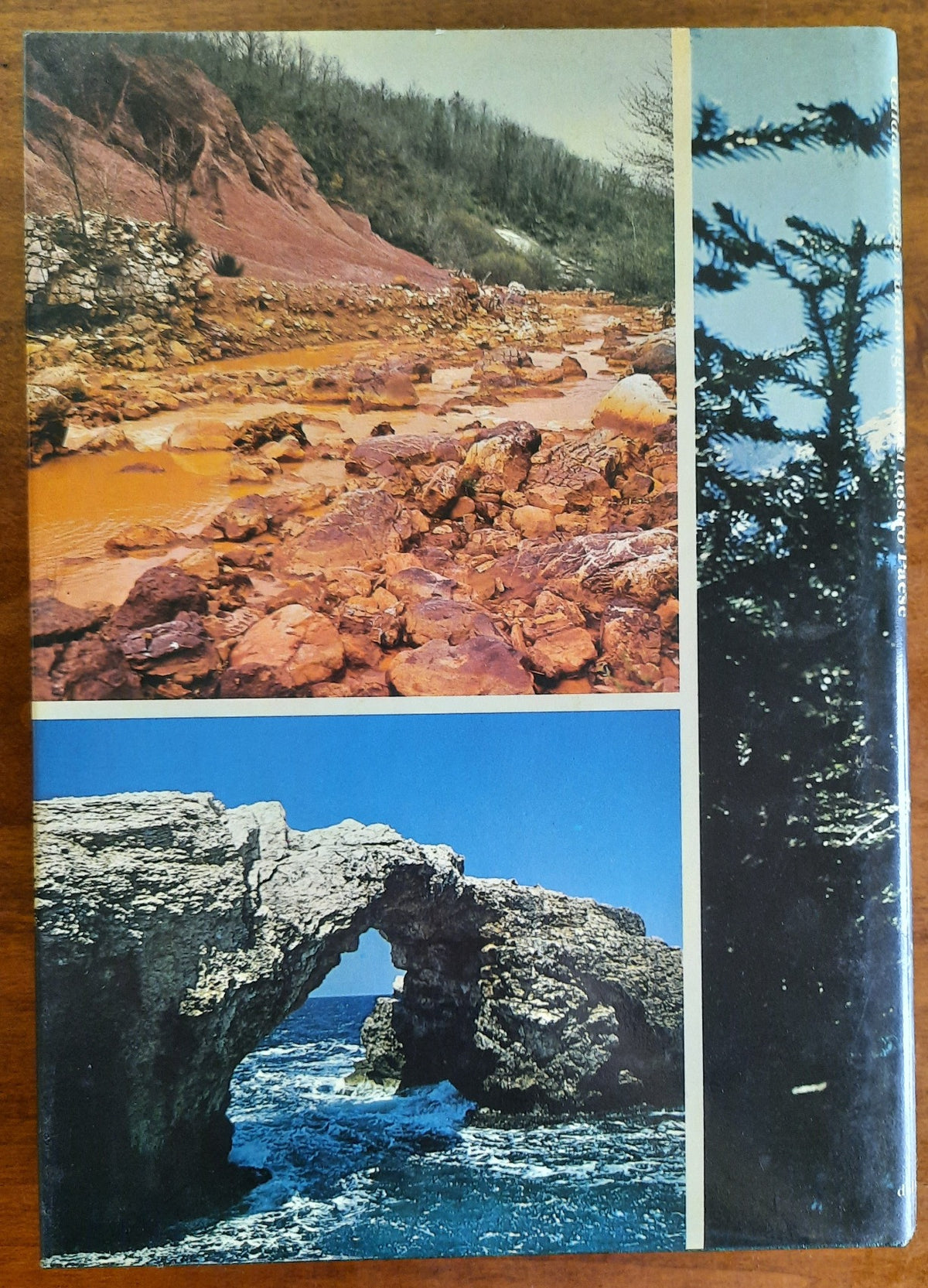 Splendore della natura in Italia. Guida ai luoghi meravigliosi del nostro Paese - Libreria Biellese