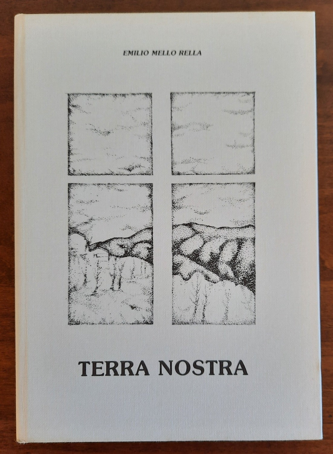 Terra nostra ( dopo la guerra .... e dopo l’alluvione ) - Libreria Biellese