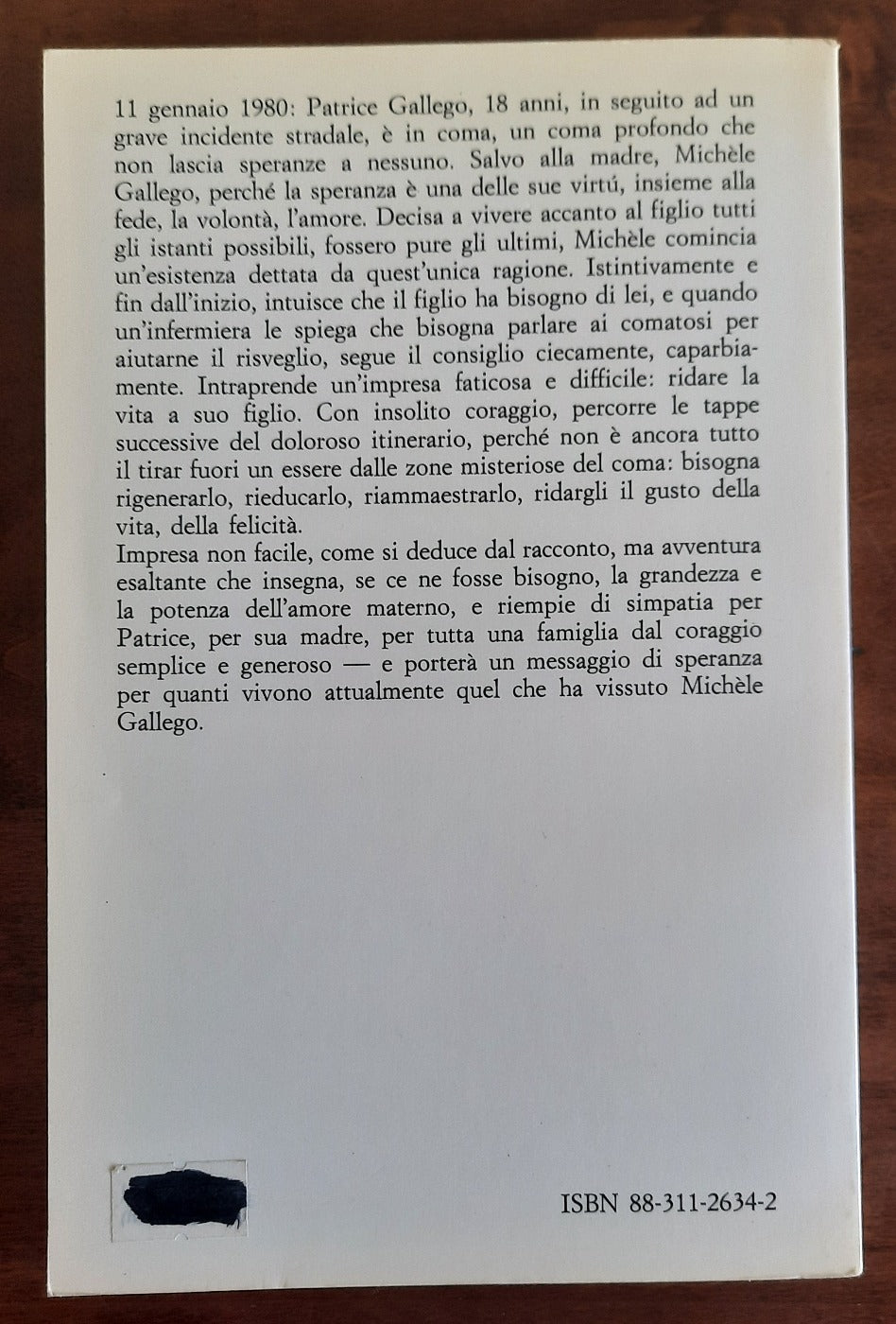 Ti ridarò la vita. Una madre salva il figlio dal coma