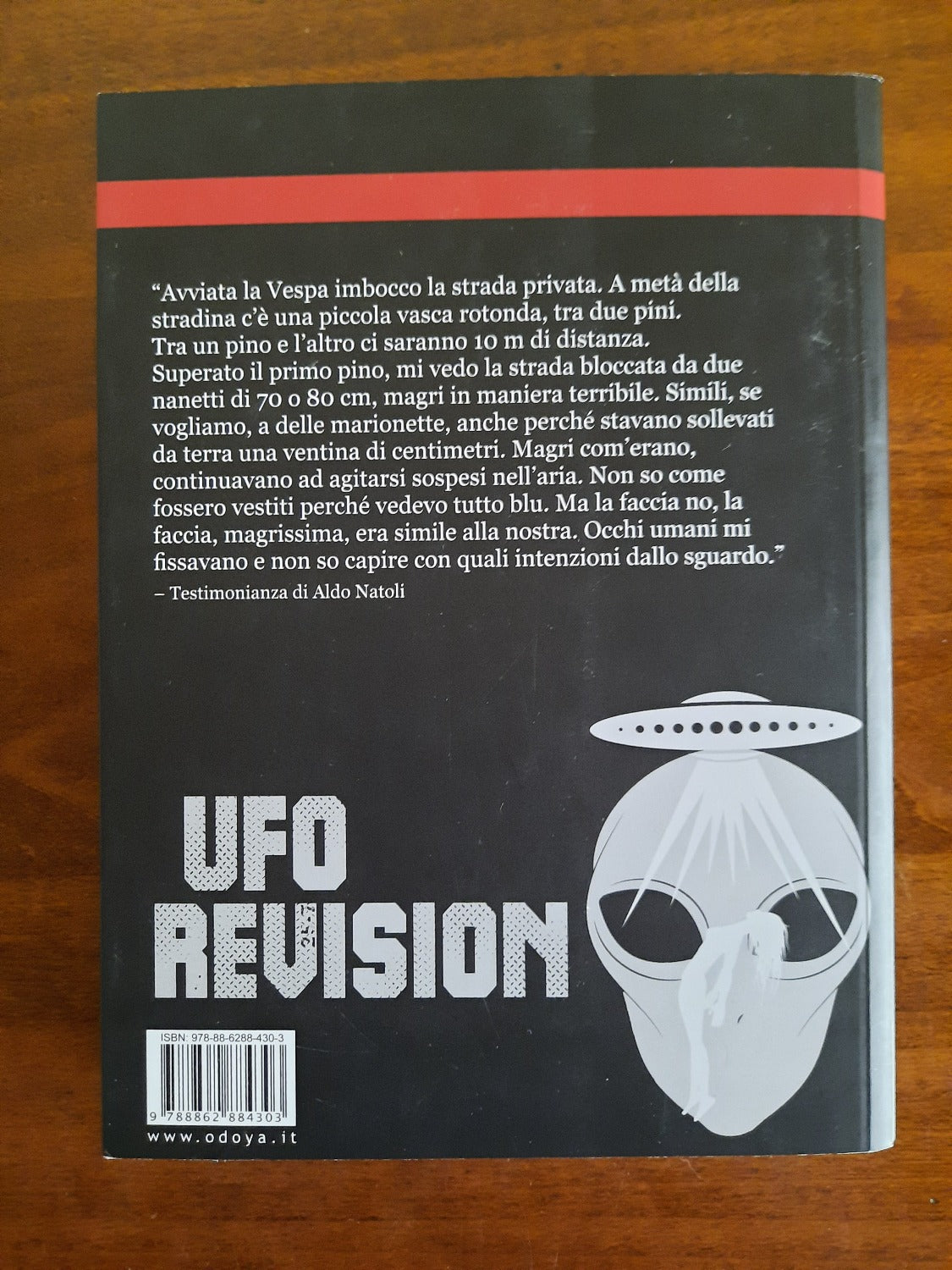Ufo revision. Le vicende ufologiche minori nel panorama storico contemporaneo - Libreria Biellese